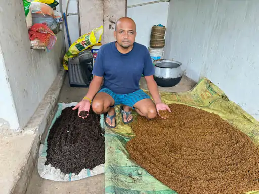 ऑर्गेनिक मॉडल: महासमुंद के किसान ने बदली खेती की तस्वीर, 21 एकड़ में कभी नहीं डाला यूरिया-डीएपी