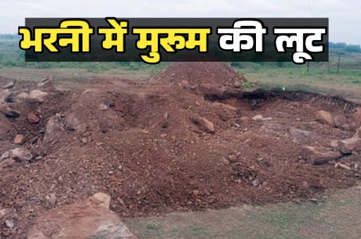 भरनी में मुरुम लूट , पेड़ों की कटाई पर वन विभाग का एक्शन मगर खनिज महकमा  अब भी मौन
