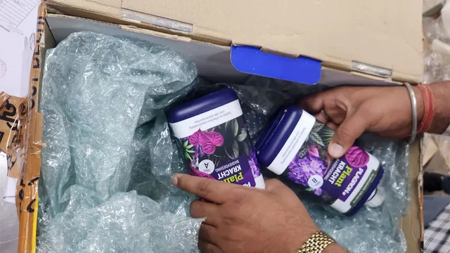 Dark Web से चल रहा था ड्रग्स का खेल, ‘टीम कल्कि’ नेटवर्क का भंडाफोड़, 5 करोड़ की ड्रग्स जब्त