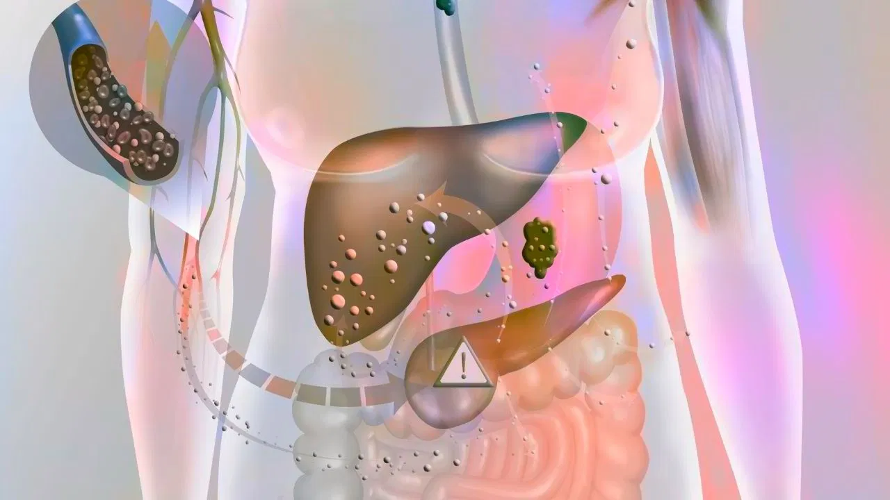 आंखें और किडनी ही नहीं शरीर के इस अंग को भी खराब कर रही डायबिटीज, रिसर्च में दावा