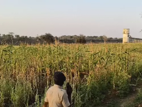 gifs25-11772816344_1772852009