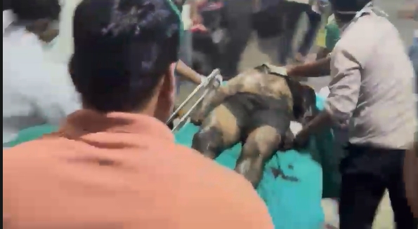 image-2026-03-18T002902.823