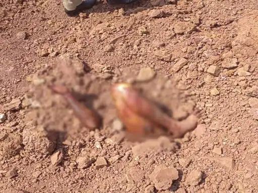 Raipur Murder Mystery: जमीन में दफन मिला युवक का शव, रायपुर में सनसनी, ऐसे हुई पहचान