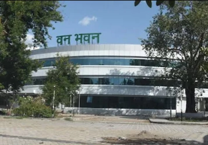 तेंदूपत्ता का काला खेल: 6900 का बोरा 3000 में बेचा, अफसरों की सेटिंग ने निगल ली 1600 करोड़ की एफडी, अब संघ पर 450 करोड़ के कर्ज में