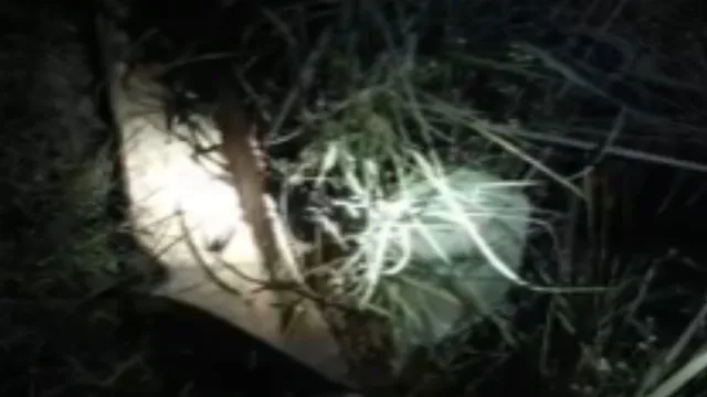 होली स्पेशल ट्रेन को पटरी से उतारने की साजिश नाकाम: चंदौली में ट्रैक पर रखा लोहे का स्लिपर, लोको पायलट की सतर्कता से टला बड़ा हादसा