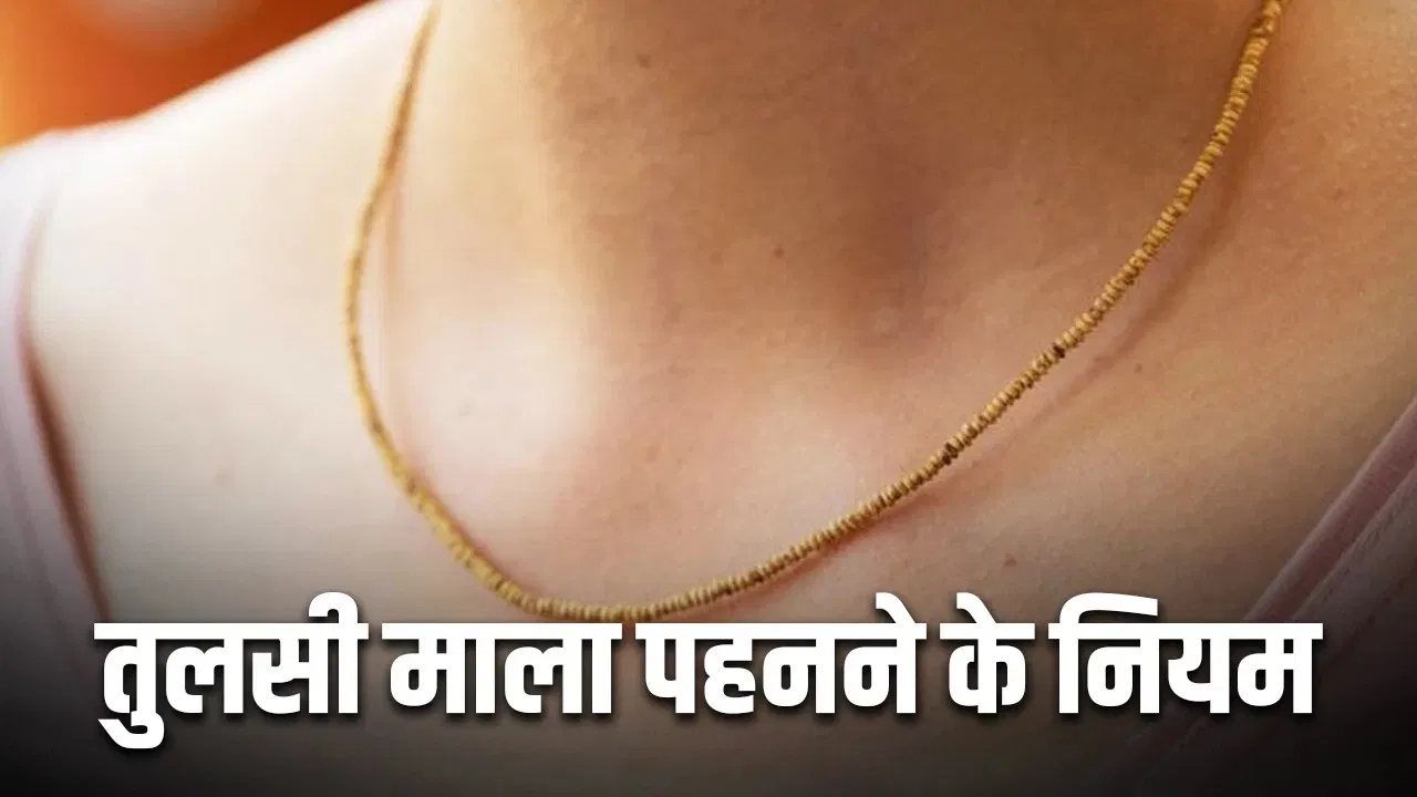 Tulsi Mala: किन लोगों को नहीं पहननी चाहिए तुलसी की माला, जानें इससे जुड़े नियम और लाभ