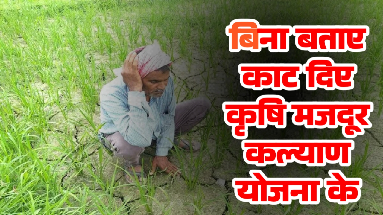 छत्तीसगढ़ में 67 हजार गरीब परिवारों का निवाला छीना बिना बताए काट दिए कृषि मजदूर कल्याण योजना के नाम अब दफ्तरों के चक्कर काट रहे हितग्राही