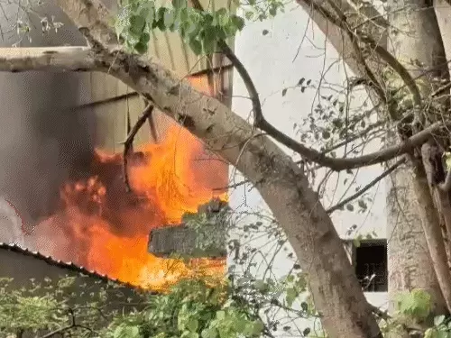 comp-1-517769316051776933519_1776998193