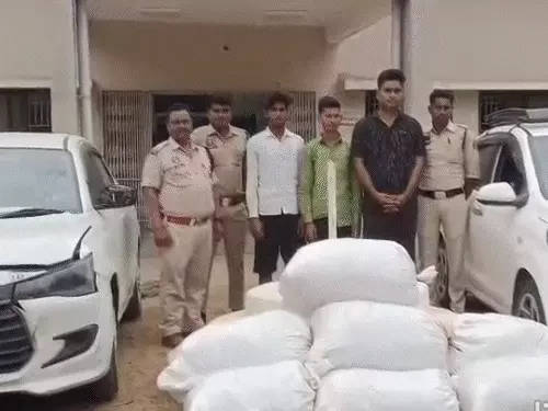 comp-131774960354-1_1774977392