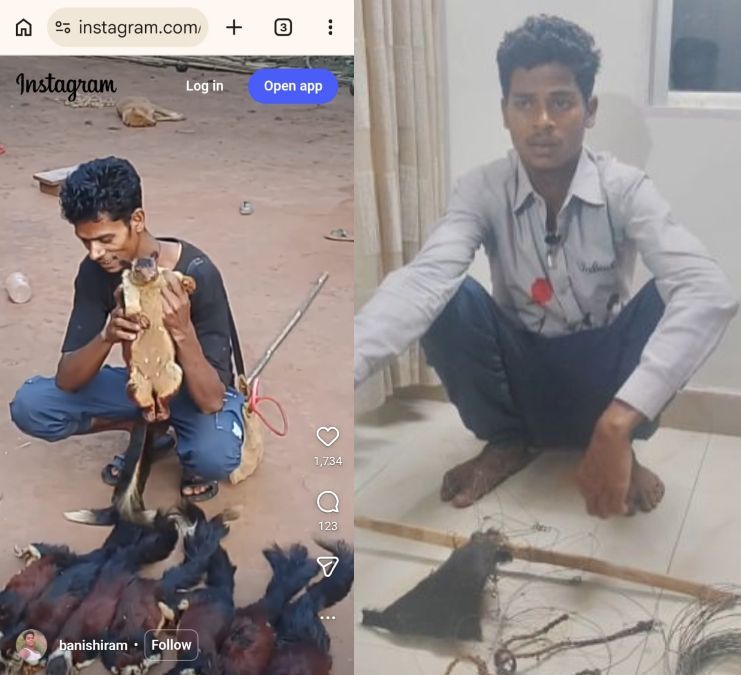 Hunting-Rare-Squirre-1