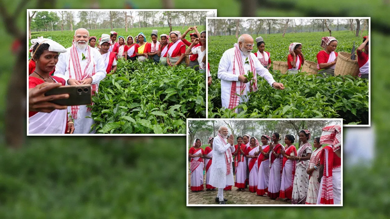 pm-modi-tea-garden