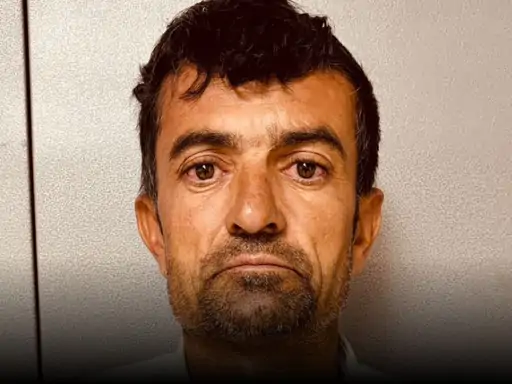 single-line-51_1775304188