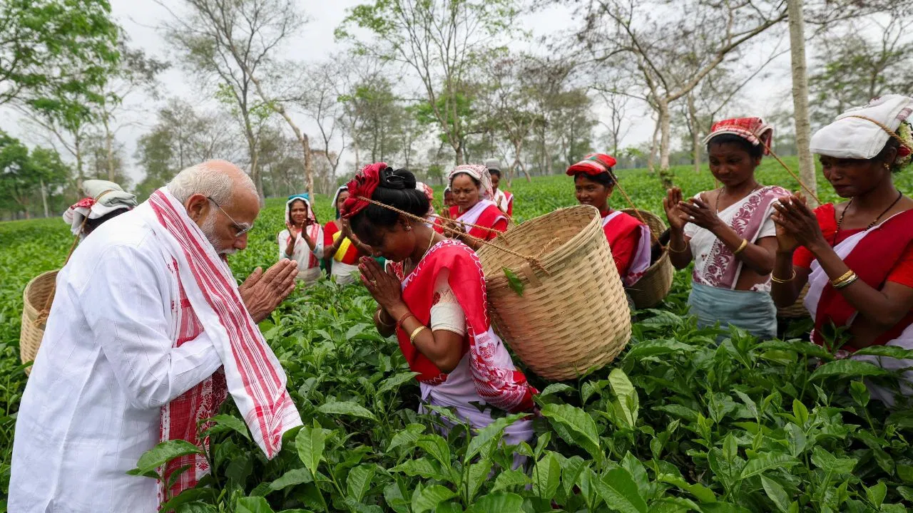 Assam Tea Garden Surprise: चुनावी दौरे के बीच PM मोदी अचानक पहुंचे बागान, महिलाओं संग तोड़ी चाय की पत्तियां और ली सेल्फी