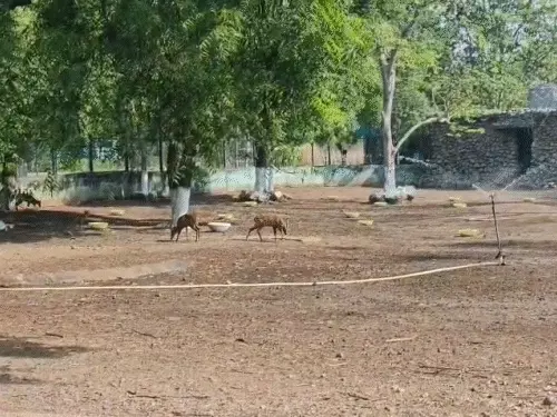 comp-162-2_1780068387