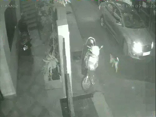 20_1780799607