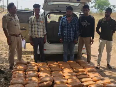 बिलासपुर में कार से 245 किलो गांजा जब्त, 1.22 करोड़ की खेप पकड़ी, ओडिशा से एमपी सप्लाई का नेटवर्क बेनकाब