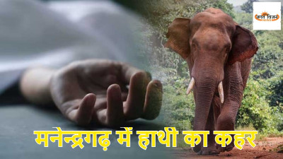 CG News: मनेन्द्रगढ़ में हाथी का कहर, महुआ बीनने गए ग्रामीण की मौत, वन विभाग की कार्यप्रणाली पर उठे सवाल