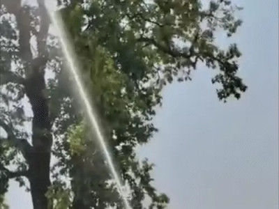 तोते के लिए ‘वॉटर ऑपरेशन’: Narayanpur में फायर ब्रिगेड ने बहाया हजारों लीटर पानी, वायरल VIDEO के बाद संसाधनों के दुरुपयोग पर उठे सवाल