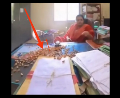 मैडम ये बादाम खाइए, शायद गुम हुई फाइल याद आ जाए...": बिलासपुर में नामांतरण के लिए 1 साल से भटक रहे युवक का अनोखा विरोध, वीडियो वायरल; भड़कीं अफसर पति संग पहुंचीं थाने