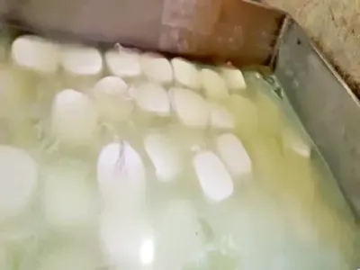 रायपुर में ‘धीमा जहर’ का खेल: 1200 किलो नकली पनीर जब्त, केमिकल से बन रहा था जहर, 4 साल में लिवर सिरोसिस और कैंसर का खतरा