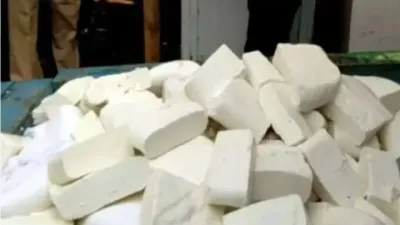 Fake Paneer Racket Exposed: केमिकल से तैयार हो रहा नकली पनीर, ढाबों से फाइव स्टार होटलों तक सप्लाई, स्वास्थ्य विभाग अलर्ट