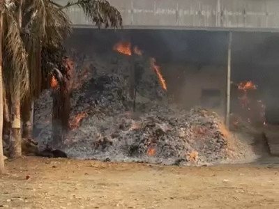 बीजापुर के बाद अब बस्तर में तेंदूपत्ता गोदाम में आग, 1000 बोरे राख, बीजापुर आगकांड के बाद DFO पर गिरी गाज