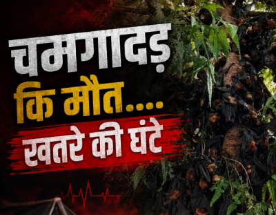 प्रकृति का रेड अलर्ट बेजुबानों की मौत से नहीं जागी सरकार तो अगला नंबर इंसानों का होगा