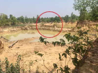 रायगढ़ में दर्दनाक हादसा: तालाब में नहाते समय बड़े हाथी के नीचे दबकर शावक की मौत, 5 महीने में 8वीं मौत से बढ़ी चिंता