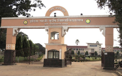 IGKV रायपुर में करोड़ों का महा-घोटाला: 14 साल तक 57 अपात्रों पर लुटाई गई सरकारी तिजोरी, कृषि मंत्री की टेबल पर पहुंची फाइल