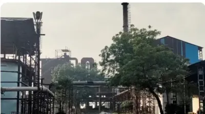 शराब, सिंडिकेट और 'सिस्टम' का सरेंडर: 'वेलकम डिस्टलरी' का जहरीला खेल, फ्री की दारू और कमीशन के कॉकटेल से मूक हुए ग्रामीण-नेता, जंगल में बिछ रही जानवरों की लाशें
