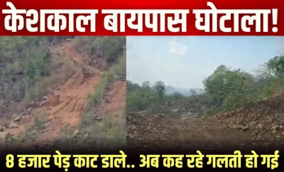 केशकाल बायपास की 'अंधेरगर्दी': अफसरों की एक चूक से कट गए 8,159 पेड़, अब सही अलाइनमेंट के नाम पर 6 हजार और पेड़ों की बलि!
