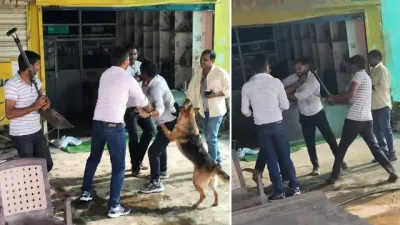 लखनऊ में बिजली चोरी पकड़ने गई टीम पर हमला, JE को पीटा, पालतू कुत्तों से भी कराया हमला