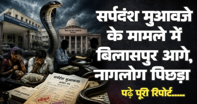 नागलोक से चार गुना ज्यादा मौतें बिलासपुर में, डॉक्टरों और वकीलों ने मिलकर डकार लिया सर्पदंश का मुआवजा