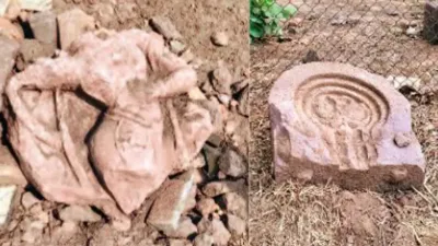 खेत की मेढ़ खोदते ही निकला इतिहास! महासमुंद के बम्हनी में मिलीं 8वीं शताब्दी की प्राचीन मूर्तियां, मंदिर के अवशेष मिलने के संकेत