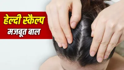 Healthy Scalp Care Tips: बालों की नहीं, पहले स्कैल्प की करें देखभाल, तभी मिलेगी मजबूत और घने बालों की ग्रोथ