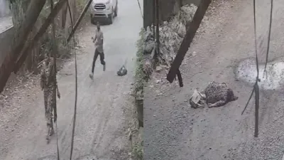 पालघर में महिला कर्मचारी पर दरांती से खौफनाक हमला! CCTV में कैद हुई वारदात, आरोपी चपरासी फरार