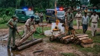 पुष्पा स्टाइल में सागौन तस्करी का खेल! तालाब, नदी और पूजा स्थल में छिपाई लकड़ी, स्निफर डॉग ने खोला राज