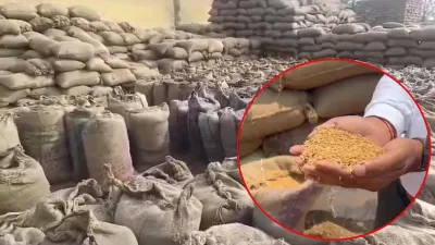 कागजों में भरा था गोदाम, हकीकत में गायब निकला 2441 क्विंटल धान! कवर्धा में 81 लाख के घोटाले का खुलासा, प्रभारियों पर FIR