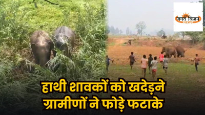 CG News: हाथियों को खदेड़ने के नाम पर लापरवाही! शावकों पर फटाखे और पत्थर बरसाने का VIDEO वायरल, ग्रामीणों की हरकत से बढ़ा बड़ा खतरा