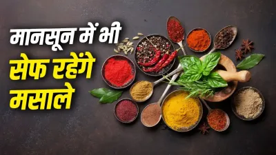 बारिश में सबसे पहले खराब होते हैं मसाले! ये किचन हैक्स बचाएंगे स्वाद और खुशबू