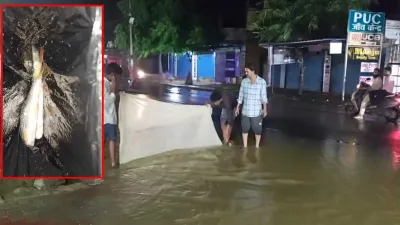 पहली बारिश में NH-43 बना 'फिशिंग स्पॉट'! सड़क पर मछली पकड़ते दिखे लोग, VIDEO ने खोली सिस्टम की पोल