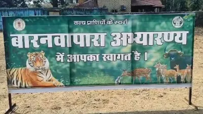 मानसून में बंद हुआ बारनवापारा अभयारण्य, अब बफर जोन में मिलेगा नेचर टूरिज्म का नया अनुभव; विकसित किए गए विशेष पर्यटन स्थल