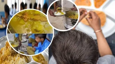 Delhi School Mid-Day Meal: सरकारी स्कूल के मिड-डे मील में मिली मरी हुई छिपकली, FIR दर्ज; समय रहते टला बड़ा हादसा