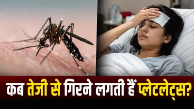 डेंगू में प्लेटलेट्स कब घटने लगती हैं? जानिए कब बढ़ता है खतरा और किन लक्षणों को न करें नजरअंदाज