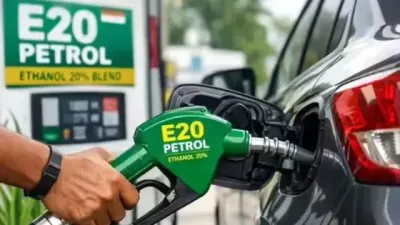 E20 पेट्रोल विवाद पर बड़ा फैसला: रायपुर कंज्यूमर कोर्ट ने कार कंपनी को नई गाड़ी देने या पूरी कीमत लौटाने का दिया आदेश