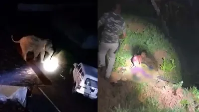 हाथी के हमले ने उजाड़ दी खुशियां! घायल मां के पास बिलखता रहा मासूम, अस्पताल में जिंदगी की जंग हार गई महिला