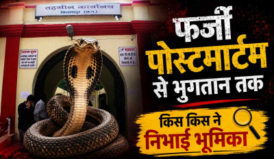 17 करोड़ के सर्पदंश घोटाले में बड़ा प्रश्न: फर्जी पोस्टमार्टम से भुगतान तक किस-किस ने निभाई भूमिका?