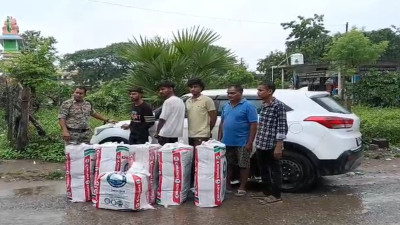 CG Crime News: फर्जी नंबर प्लेट लगाकर हो रही थी करोड़ों के गांजे की तस्करी! सुकमा पुलिस ने 223 किलो गांजा के साथ 3 तस्करों को दबोचा