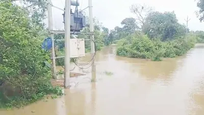 महानदी उफान पर... चारों ओर पानी, बीच में जिंदगी! बाढ़ में घिरा रीवा सरार गांव, 35 ग्रामीणों का टूटा संपर्क