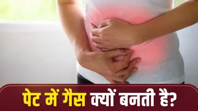 बार-बार पेट में गैस बनती है? आपकी ये रोजमर्रा की आदतें हो सकती हैं जिम्मेदार, जानें कब डॉक्टर से मिलना जरूरी